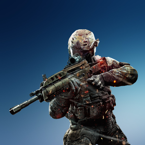 Portfolio Image